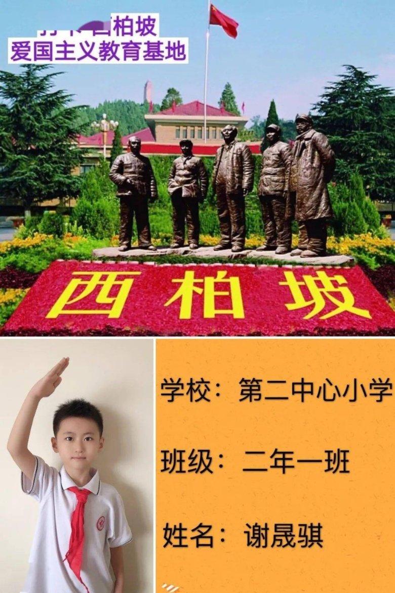 小鸟嘴巴有点歪！红交嘴雀首次现身甘肃尕海则岔保护区