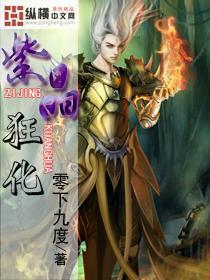 古墓丽影暗影